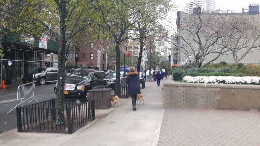 NYC_2017-11-19 09-23-29_CELL_20171119_092329